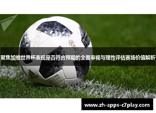 聚焦加维世界杯表现是否符合预期的全面审视与理性评估赛场价值解析